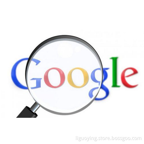 GOOGLE and Small language optimization promotion